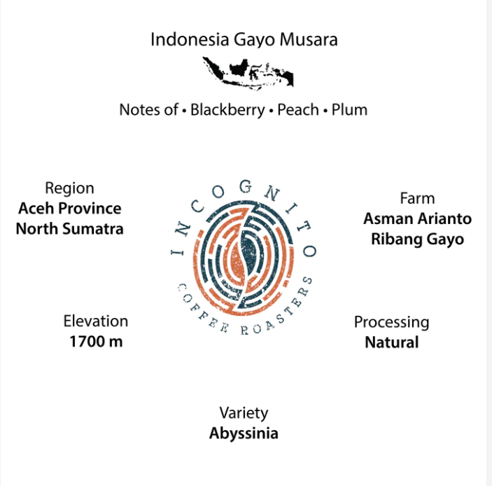 Cafea de specialitate Indonezia Gayo Musara,  Incognito Coffee Roasters 1000g